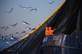 Fraccionamiento: Camanchaca esperará a conocer “con claridad lo que el congreso apruebe formalmente” antes de tomar acciones