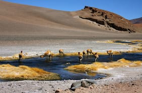 San Pedro de Atacama fue la capital de la arqueología mundial