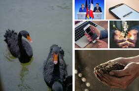 ¿Amazon compra Chipre? ¿Sobrecalentamiento económico? ¿Migración al campo? Los cisnes negros que podrían nadar en las aguas de 2021