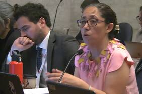 Formalización de Rozas y Yáñez: Chong da cuenta de instrucción para conocer antecedentes policiales de civiles lesionados