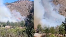 Senapred declara alerta roja por incendio forestal en Pirque: presenta cercanía con sectores poblados