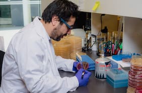 Amonio cuaternario: los peligros de usar este químico para combatir el coronavirus