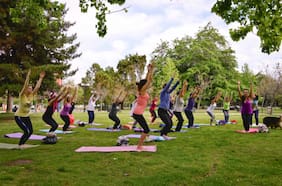 “Fascist Yoga”: el libro que revela los vínculos entre el yoga y movimientos extremistas