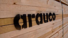 Arauco revierte pérdidas y anota ganancias por US$ 72 millones en el semestre, tras mejor desempeño trimestral