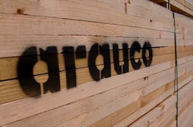 Arauco revierte pérdidas y anota ganancias por US$ 72 millones en el semestre, tras mejor desempeño trimestral