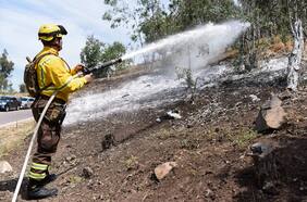 Presentan estrategia de prevención de incendios forestales en Parque Metropolitano de Santiago