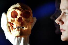 El sorprendente hallazgo de fósiles de un antiguo “hobbit” humano