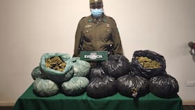 Carabineros incauta más de 28 kilos de marihuana en Zapallar y La Ligua y detiene a dos sujetos con antecedentes