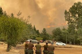 Llaman a evacuar sectores en comunas de Sagrada Familia y Freire ante rápido avance de incendios forestales