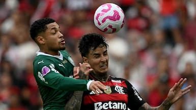 Flamengo le declara la guerra a Palmeiras: presenta duro informe y lo acusa de ser favorecido por los árbitros en Brasil