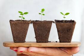 Columna de Ryan Bond: ESG: Más que palabras, acciones concretas