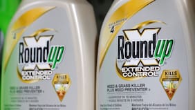 Tras cinco años de juicio, Odecu pierde en la Suprema demanda contra de Bayer y Arysta por uso de herbicida