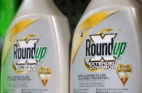 Tras cinco años de juicio, Odecu pierde en la Suprema demanda contra de Bayer y Arysta por uso de herbicida