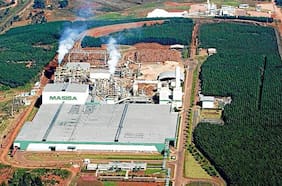 Masisa anota pérdidas en 2020 por efectos no recurrentes, pero logra aumentar sus ingresos