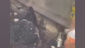 Sujetos detienen tren en la Línea 2 para realizar grafitis