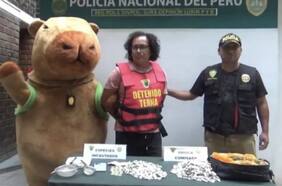 Policía peruano se disfrazó de capibara para arrestar a narcotraficante durante San Valentín