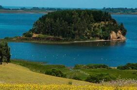 Tras polémico video viral: Bienes Nacionales fijará acceso libre a Lago Budi a través de camping en Saavedra