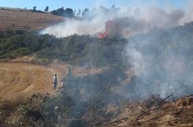 ¿Qué es el viento puelche y por qué aumenta el riesgo de propagación del fuego?