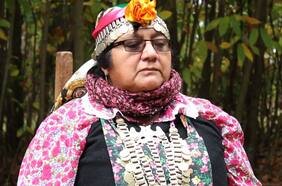 Elisa Avendaño, Premio Nacional de Música: “La música mapuche está ahí, solo hay que tomarla, levantarla y recrearla”