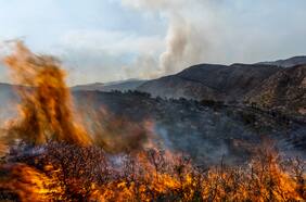“Una carrera contra el tiempo”: Estudio revela que incendios forestales debilitan la capa de ozono
