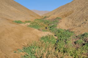 La persistencia de los humedales