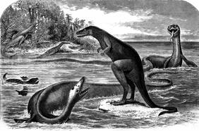 Vivió hace 70 millones de años en Algarrobo: rescatan nuevas piezas de enigmático reptil marino
