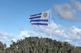 Quiere sumarse a Chile y Perú: Uruguay inicia negociaciones con China para un acuerdo de libre comercio