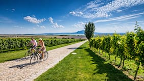Importante evento del vino: Chile será por primera vez sede de la premiación de The World’s 50 Best Vineyards