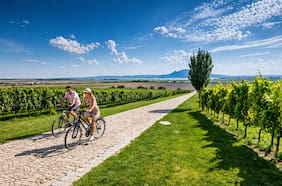 Importante evento del vino: Chile será por primera vez sede de la premiación de The World’s 50 Best Vineyards