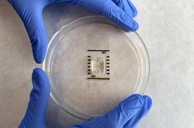 Columna de Carolina Torrealba: Vectores de la transformación que Chile necesita