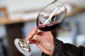 Vinos para variados gustos y bolsillos