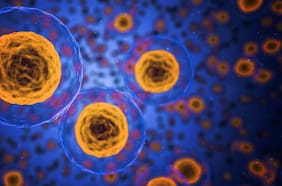 Importante hallazgo de físicos chilenos entrega algunas respuestas sobre los tejidos celulares de los órganos