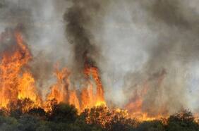 Incendio en Viña del Mar: ¿cómo ayudar y dónde hay centros de acopio para los afectados?