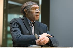 Increíble teoría asegura que los neandertales en realidad no se extinguieron y siguen aquí
