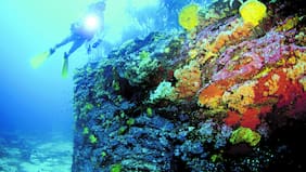 Maldivas confirma hallazgo de todos los turistas italianos fallecidos en expedición de buceo