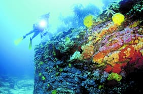 Maldivas confirma hallazgo de todos los turistas italianos fallecidos en expedición de buceo