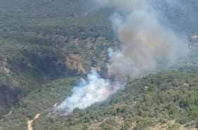 Senapred declara alerta roja en Machalí por incendio forestal en la Reserva Nacional Río Cipreses