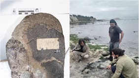 Paleontólogos chilenos confirman que hubo dinosaurios terrestres y aves del Cretácico en Algarrobo: esto dice su estudio