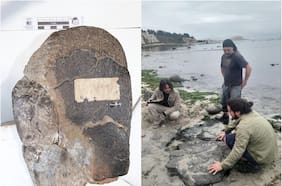 Paleontólogos chilenos confirman que hubo dinosaurios terrestres y aves del Cretácico en Algarrobo: esto dice su estudio