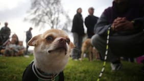 Se aproxima un giro en Santiago: anuncian viento, chubascos y tiempo inestable para estos días