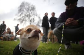 Se aproxima un giro en Santiago: anuncian viento, chubascos y tiempo inestable para estos días