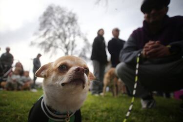 A qué hora comienza la lluvia hoy en la Región Metropolitana