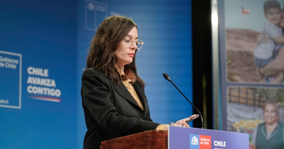 Gobierno vuelve a negar intervencionismo en elecciones presidenciales: “Hay acusaciones muy poco serias”