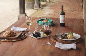 Dormir en un viñedo