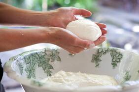 Mirada Paula: Conociendo el mundo de la quesería