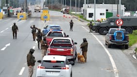 Carabineros refuerza controles en Arauco incorporando canes antidrogas