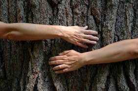 Encuesta Descifra: solo un 24% ve un balance adecuado entre crecimiento económico y medioambiente