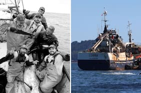 “Hubo contacto entre las embarcaciones”: Fiscalía alista formalización a tripulantes del “Cobra”