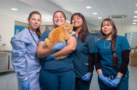 Futuros veterinarios ya se forman en el Hospital del Buin Zoo