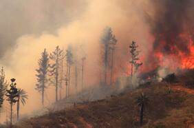 Alerta meteorológica: 131 comunas del país podrían estar bajo “botón rojo” esta Navidad ante alta probabilidad de incendios